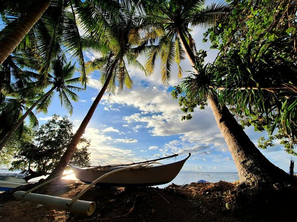 Comment profiter de votre croisière avec MSC Croisières ?