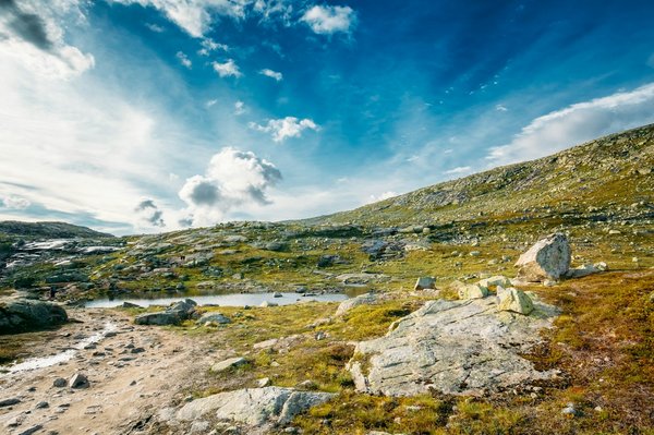 Comment découvrir les secrets de la cuisine scandinave lors d'un atelier en Suède?